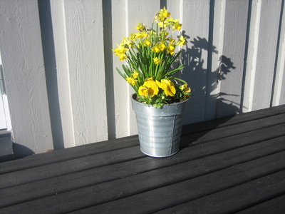img_2201_400 img_2201_400